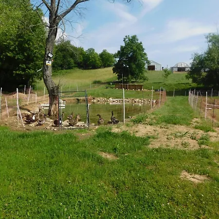 Vodny Horsky Park Poruba